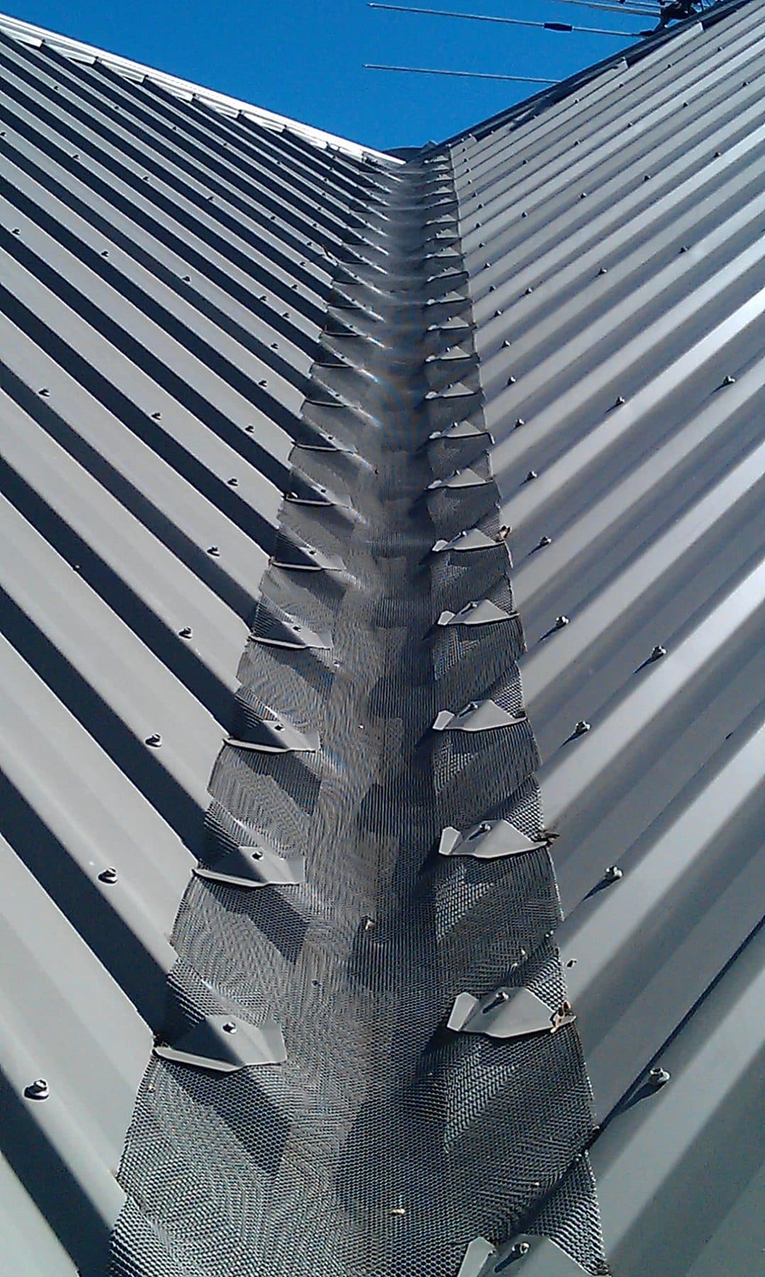 Gutter guard running down the edge of a charcoal corrugated metal roof