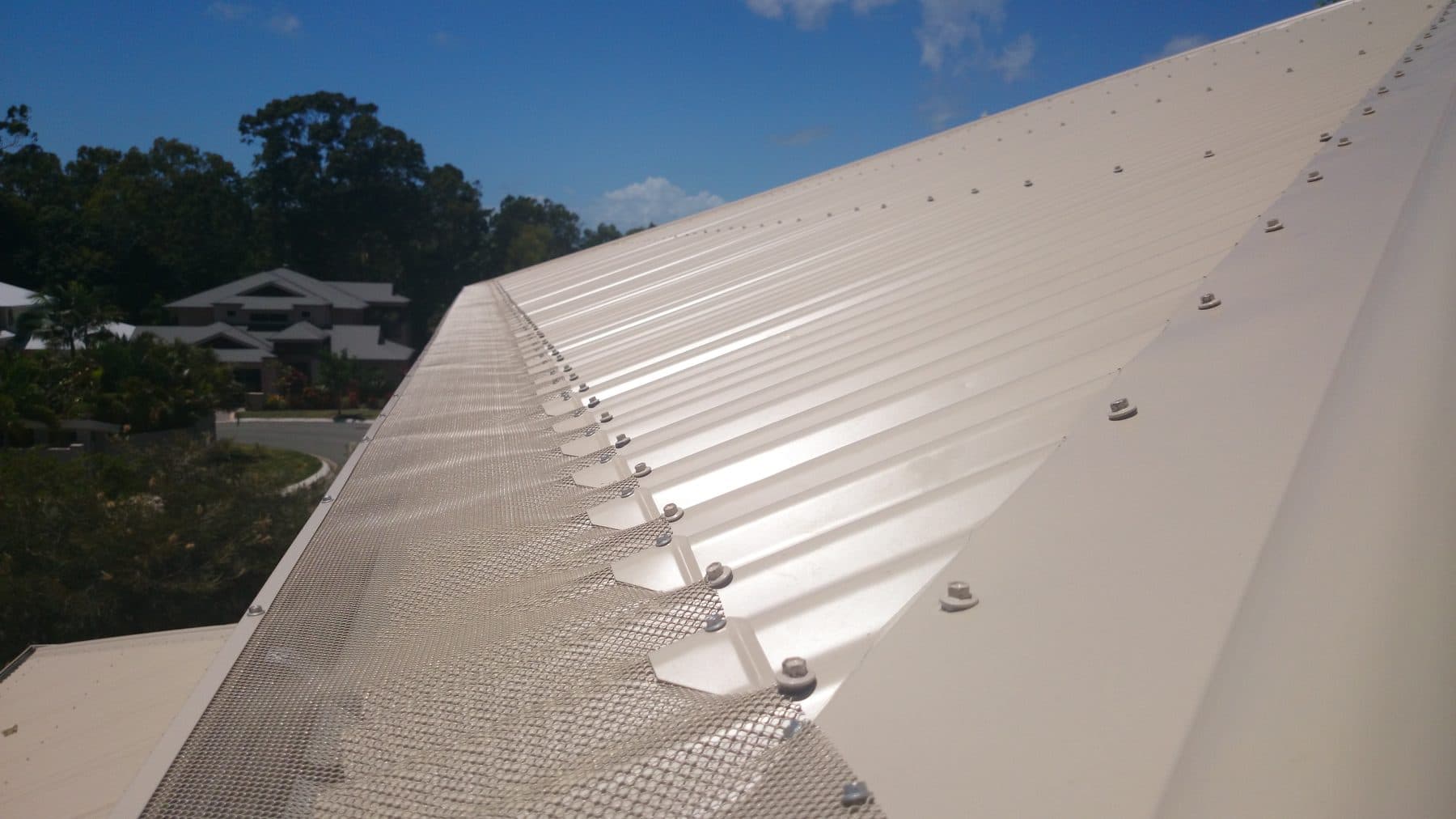 Gutter guard on a cream metal roof with a palm frond overhead