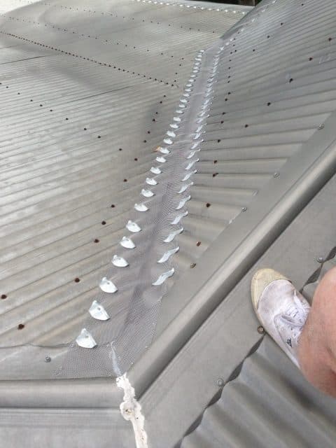 Close-up of gutter guard mesh finishing the valley of a metal roof
